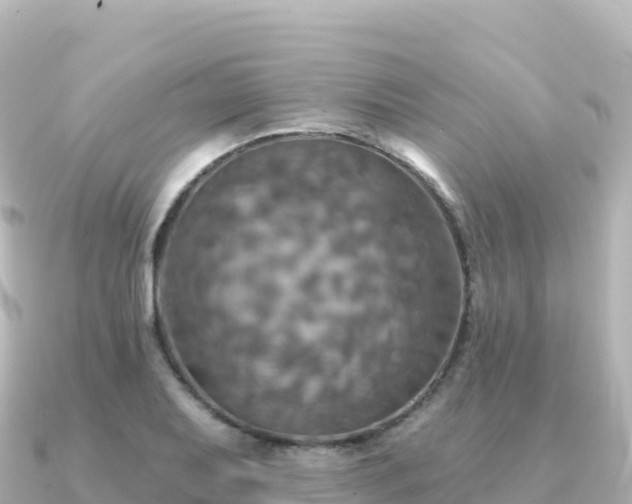 X0000091351079200708101525