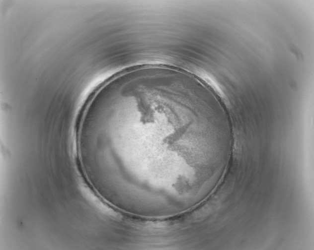 X0000091351080200708101525