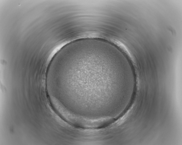 X0000091351081200708101525