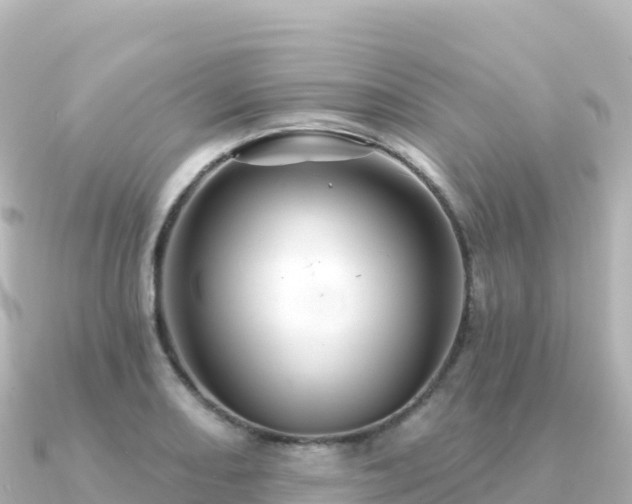 X0000091351082200708101525