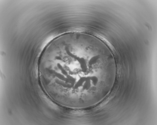 X0000091351083200708101525