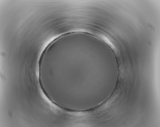 X0000091351084200708101525