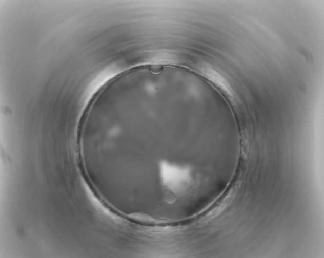 X0000091351087200708101525