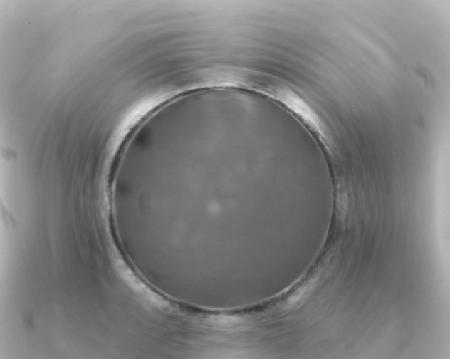 X0000091351088200708101525