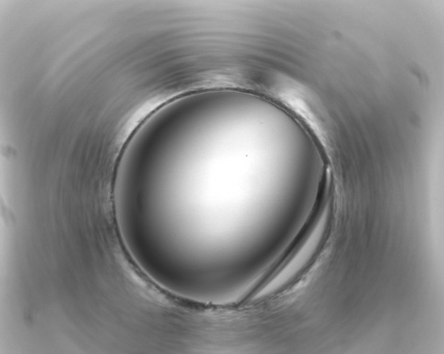 X0000091351089200708101525