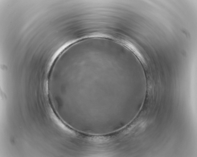 X0000091351092200708101525