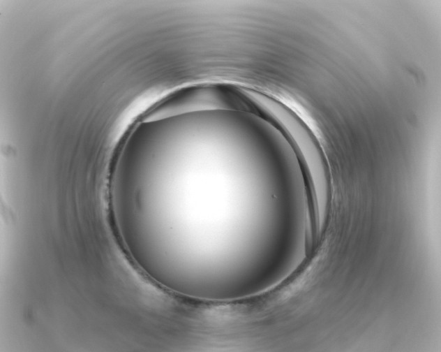 X0000091351093200708101525