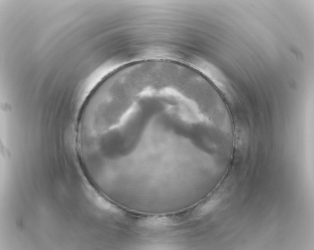 X0000091351094200708101525