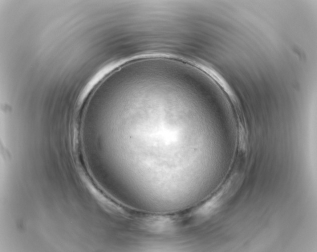 X0000091351101200708101525