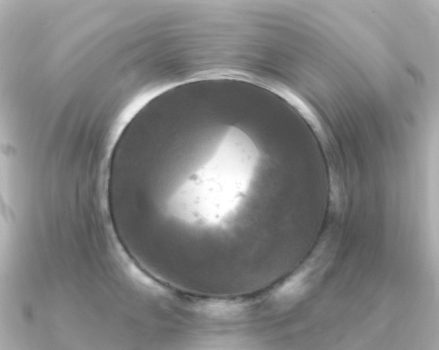 X0000091351102200708101525