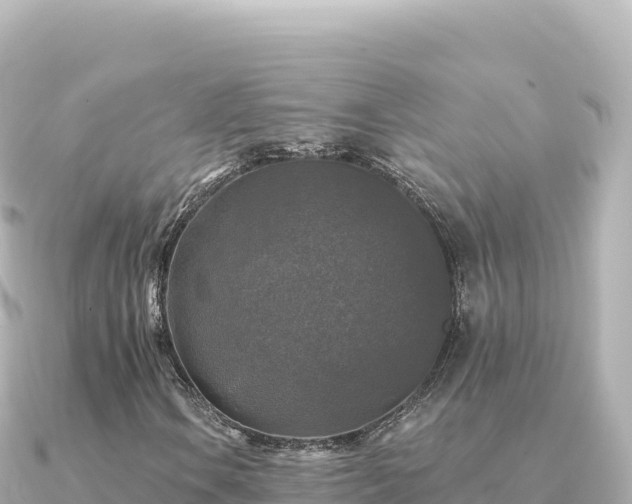 X0000091351106200708101524