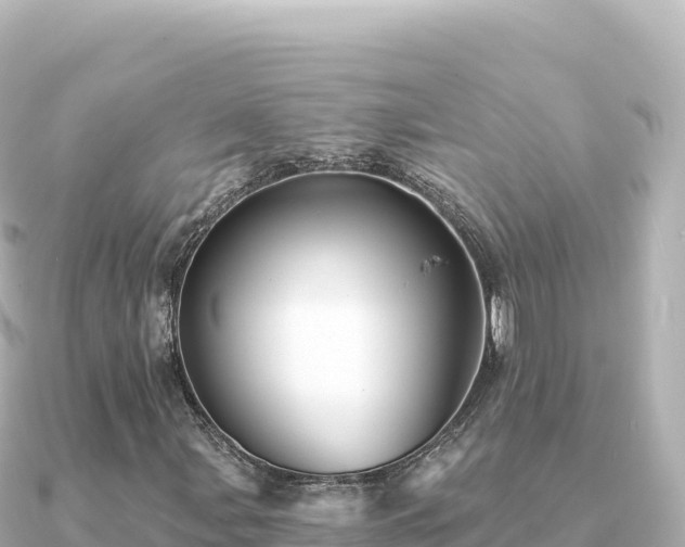 X0000091351107200708101524