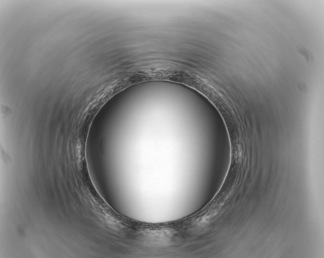 X0000091351108200708101524