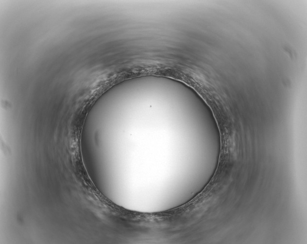 X0000091351109200708101524