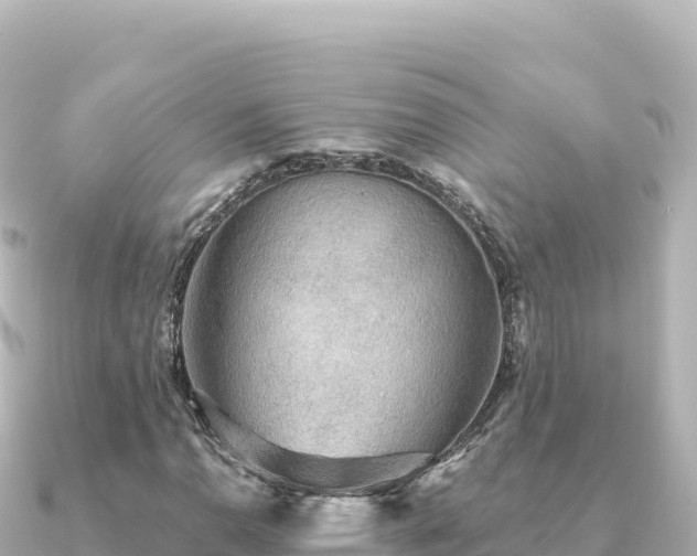 X0000091351110200708101524