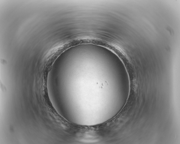 X0000091351111200708101524