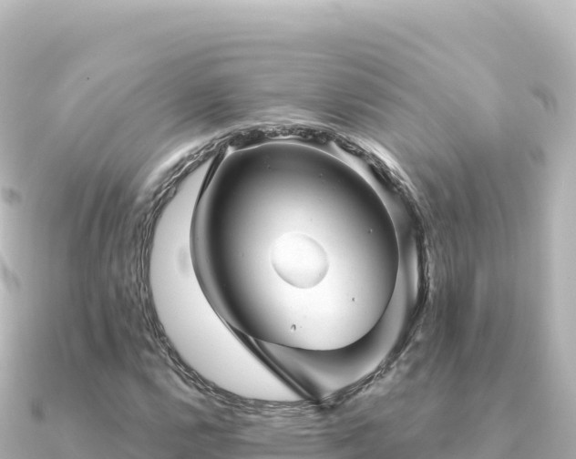 X0000091351112200708101524