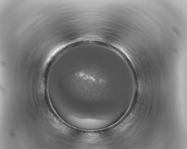X0000091351115200708101524