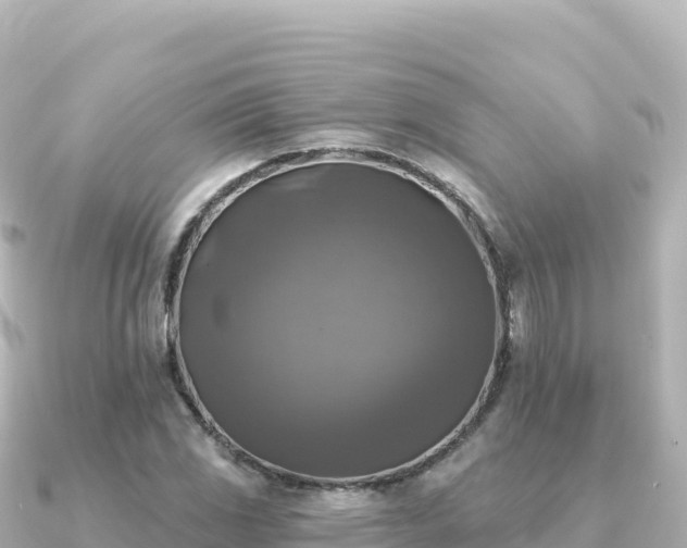X0000091351117200708101524