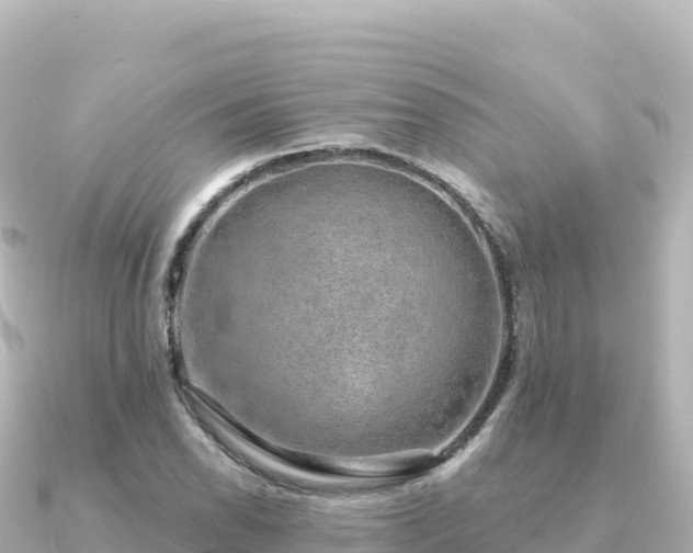 X0000091351118200708101524