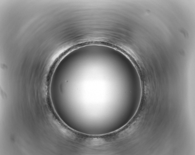 X0000091351119200708101524
