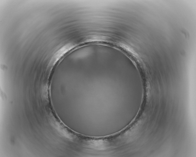X0000091351121200708101525