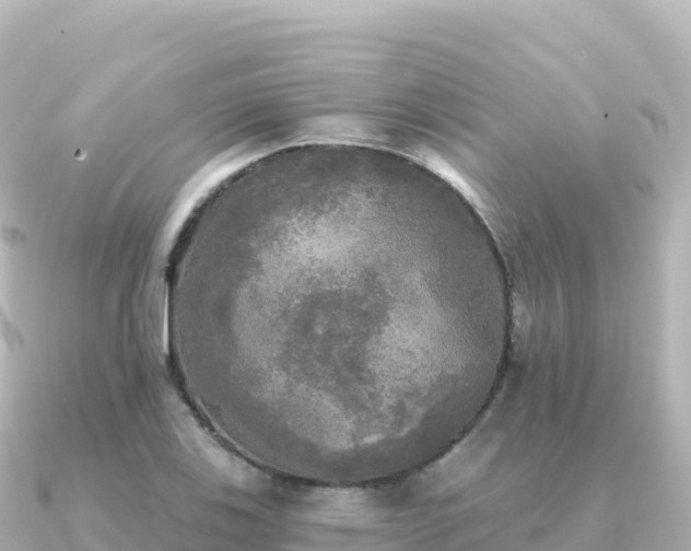 X0000091351123200708101525