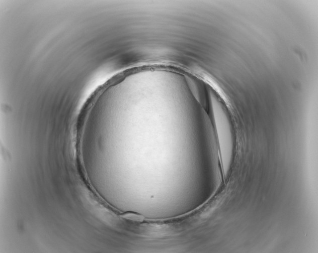 X0000091351124200708101525