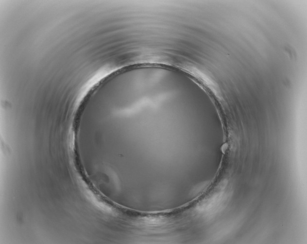 X0000091351125200708101525