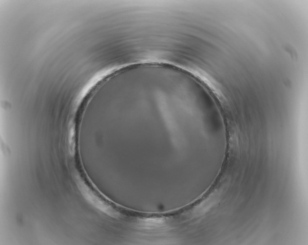 X0000091351126200708101525