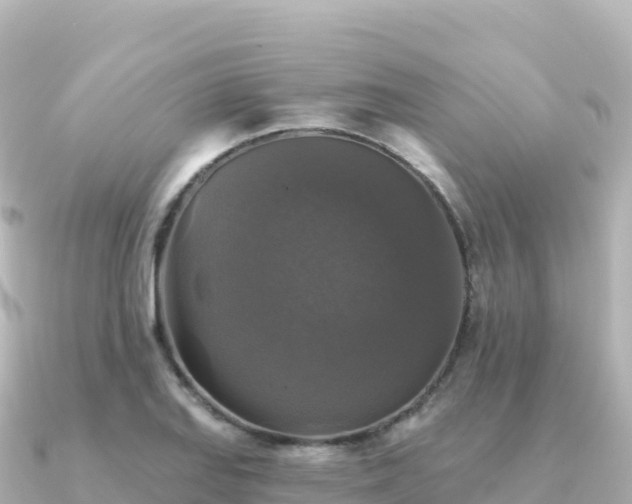X0000091351127200708101525