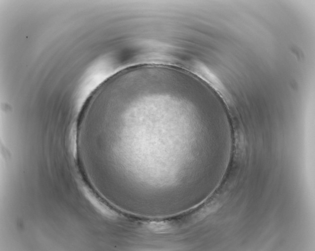 X0000091351128200708101525