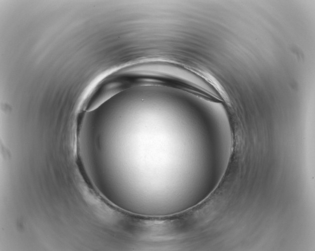 X0000091351132200708101525