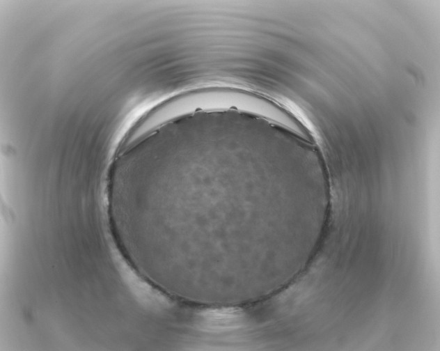 X0000091351133200708101525
