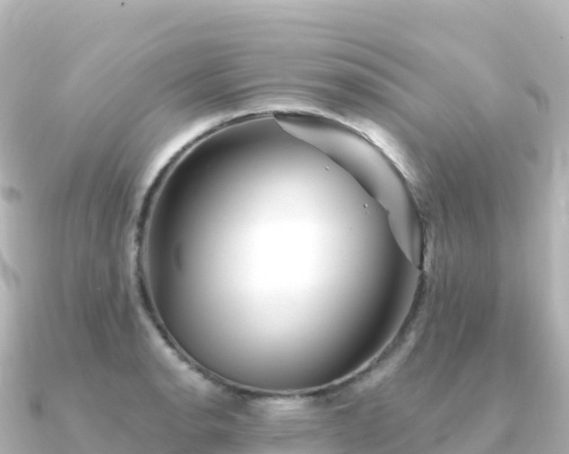 X0000091351134200708101525