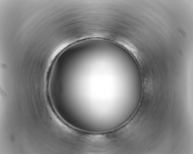 X0000091351135200708101525