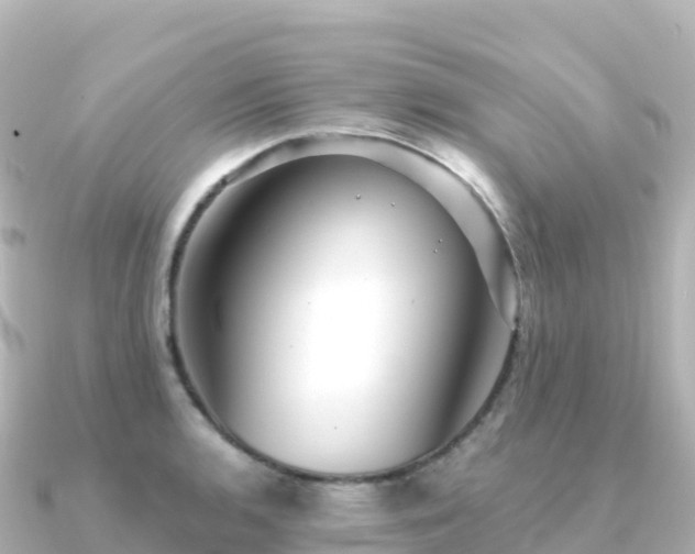 X0000091351136200708101525