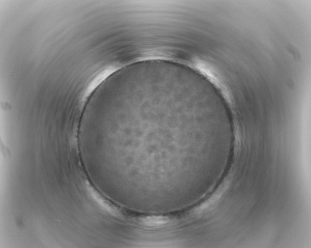 X0000091351137200708101525