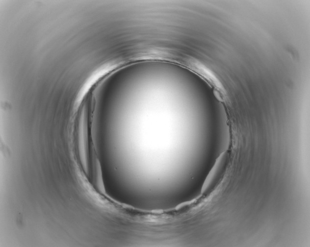 X0000091351138200708101525