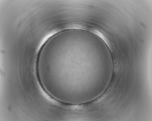 X0000091351139200708101525