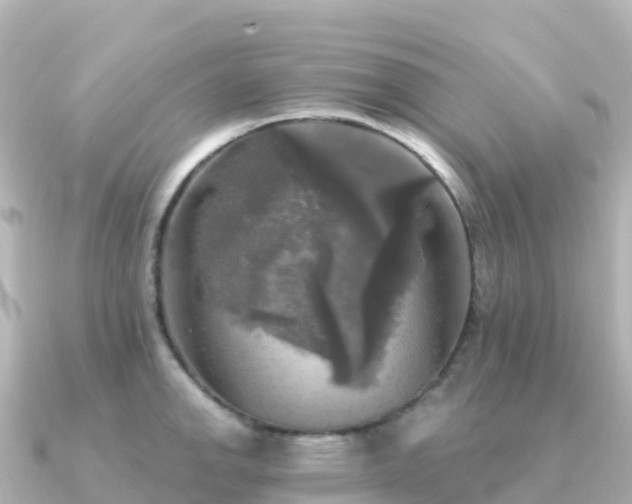 X0000091351142200708101525