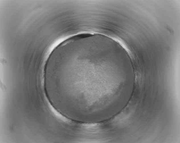 X0000091351143200708101525