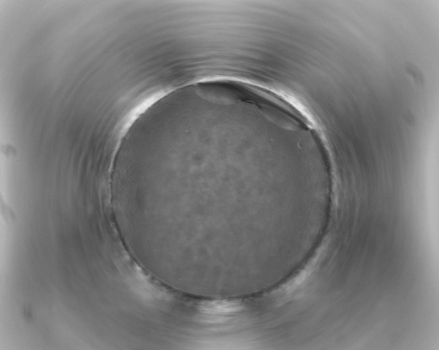 X0000091351145200708101525