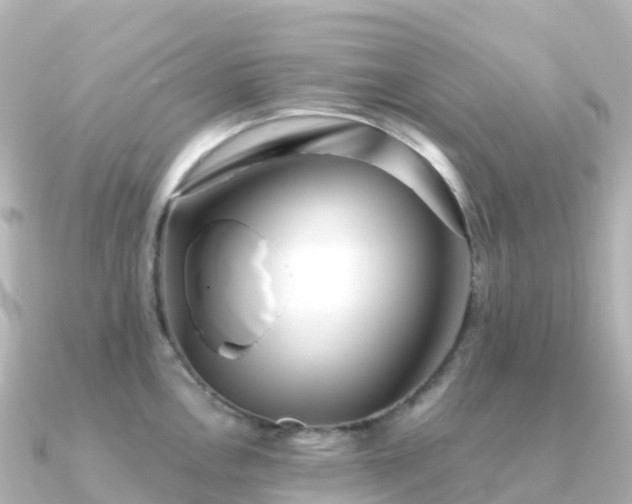 X0000091351146200708101525