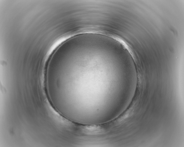 X0000091351147200708101525