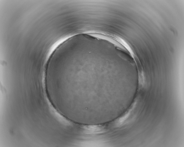 X0000091351149200708101525