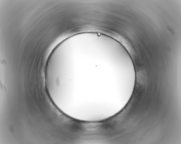 X0000091351150200708101525