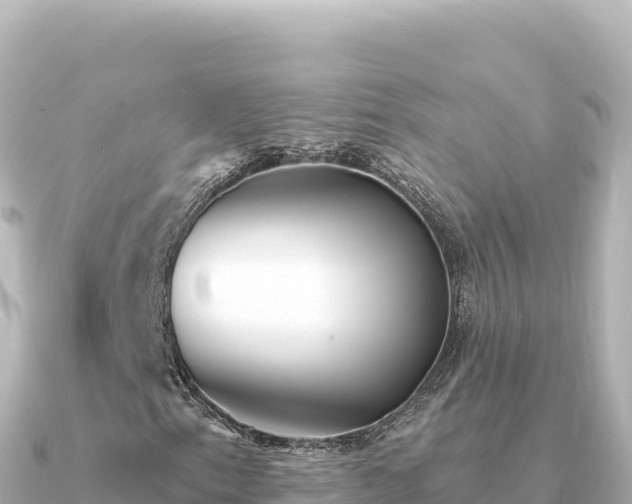 X0000091351153200708101524