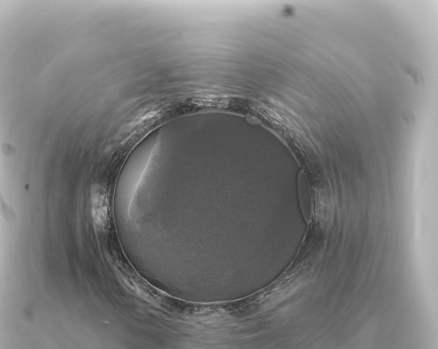 X0000091351154200708101524