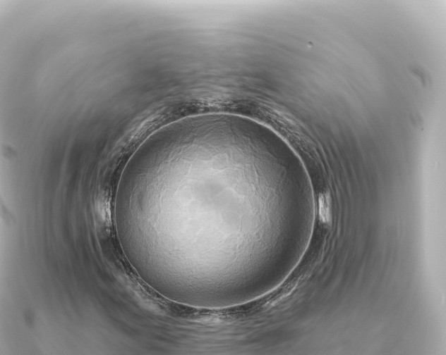 X0000091351155200708101524